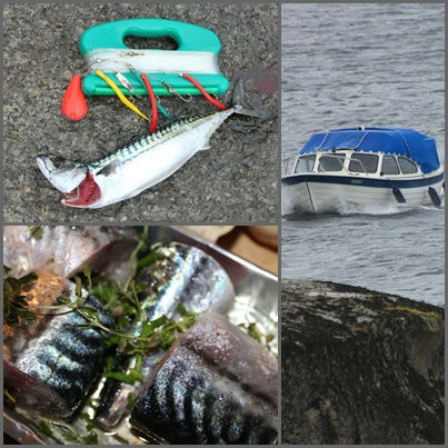 mosaikk fisketur