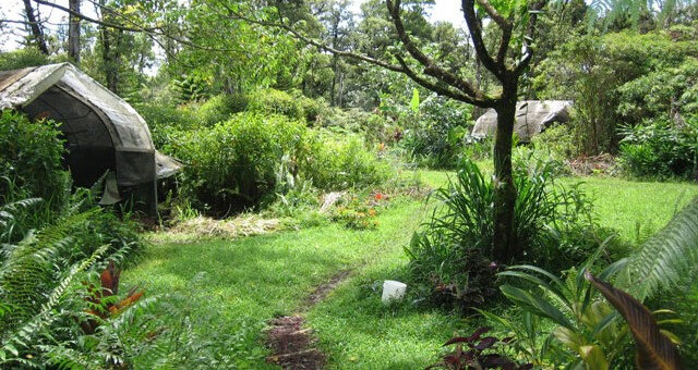 permaculture-quansut-hut-meadow-640x340