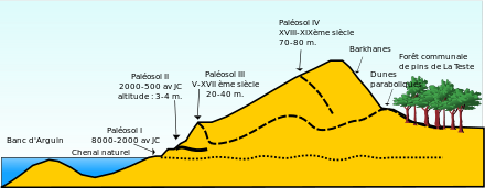 440px-Schema_Gran_Dune_Pilat-fr