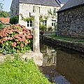 IMGP1784