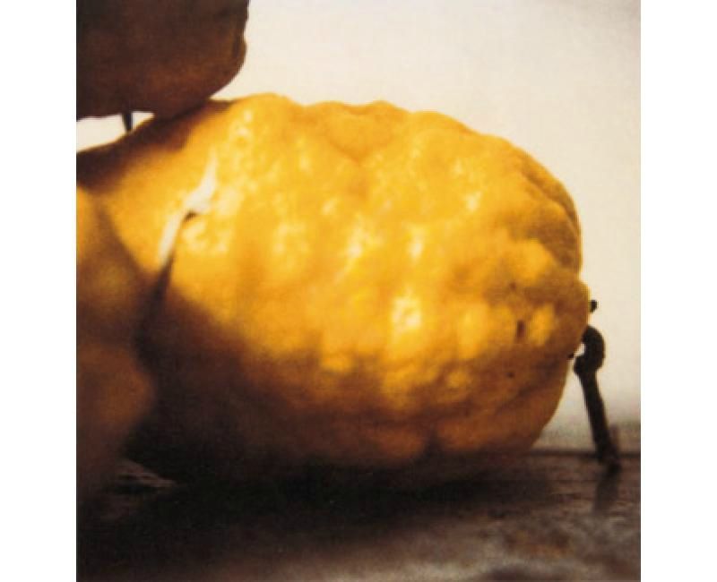 twombly citron
