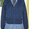 Le gilet de thèse.