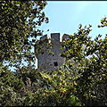PARMI_UN_RESEAU_DE_100_TOURS__
