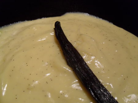 20102009_356