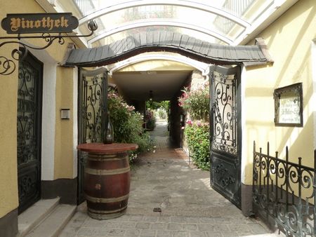 Wien_Grinzing_Village_Vigneron___Copie__800x600_