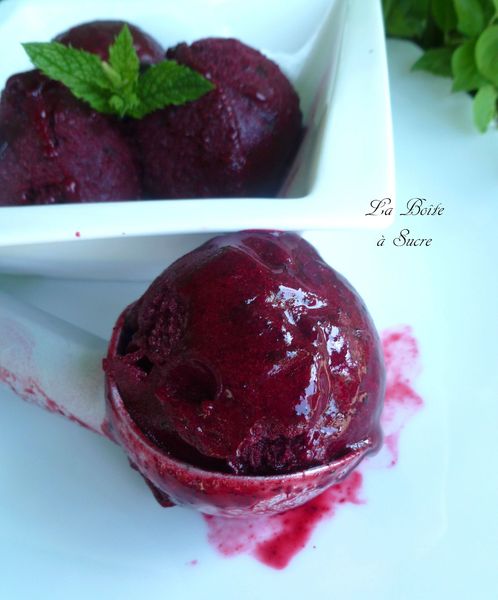 Sorbet Cassis 3