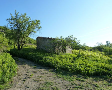 P1010535