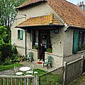 IMGP5568
