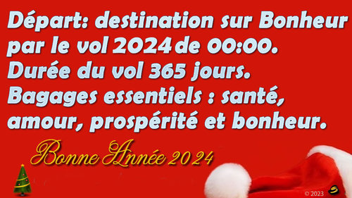 CA PEUT SERVIR - CARTE DE BONNE ANNEE 2024!!!!! - le Blog d'ISIS