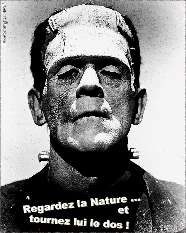 karloff-frankenstein