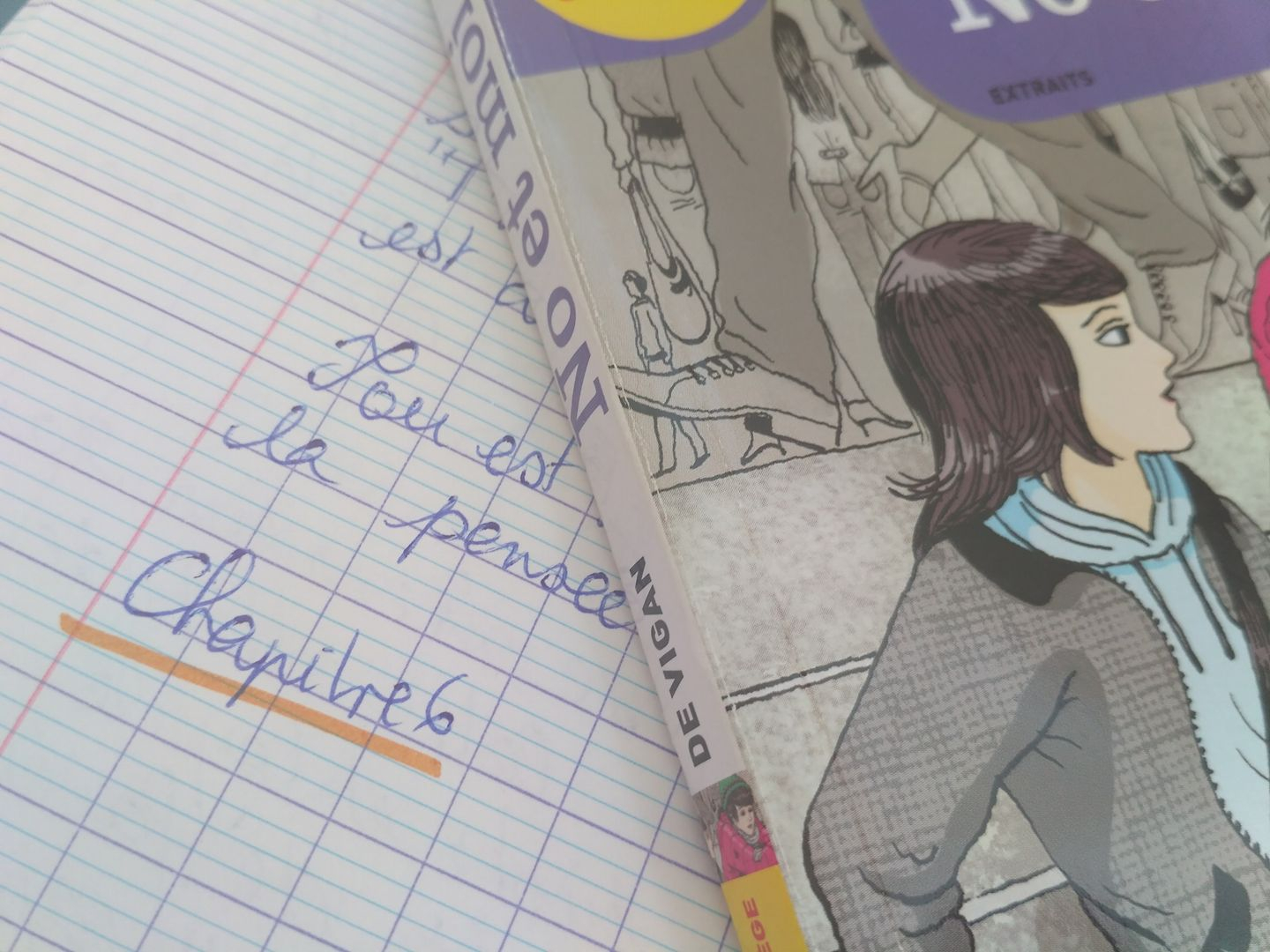 No Et Moi Résumé Chapitre 1 No et moi de Delphine de Vigan - chapitre 6 - Après avoir lu