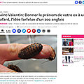 Cafards et saint valentin