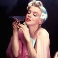 22/02/1956 bird sitting - beaton & pfizenmaier