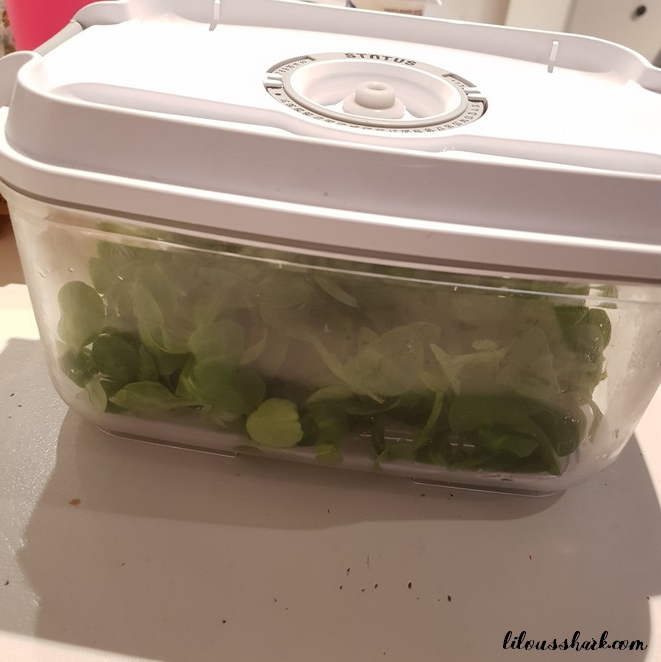 boite sous vide status