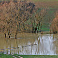 IMG_5460 - Copie