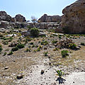 P1000842