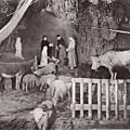 Auberge du Vieux Moulin-La Crèche 2