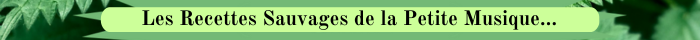 00 Les Recettes Sauvages de La PMDF VERT