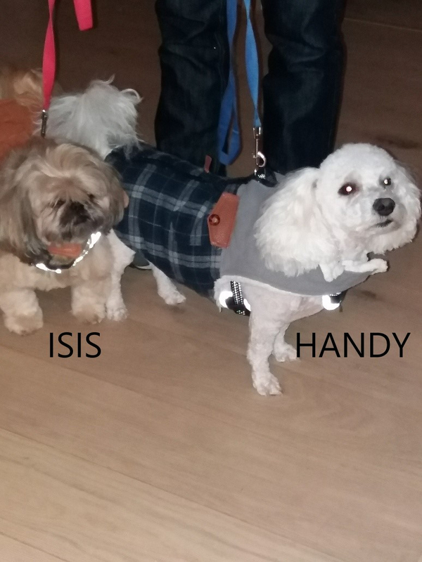 Isis et Handy avec leur nouveau manteau