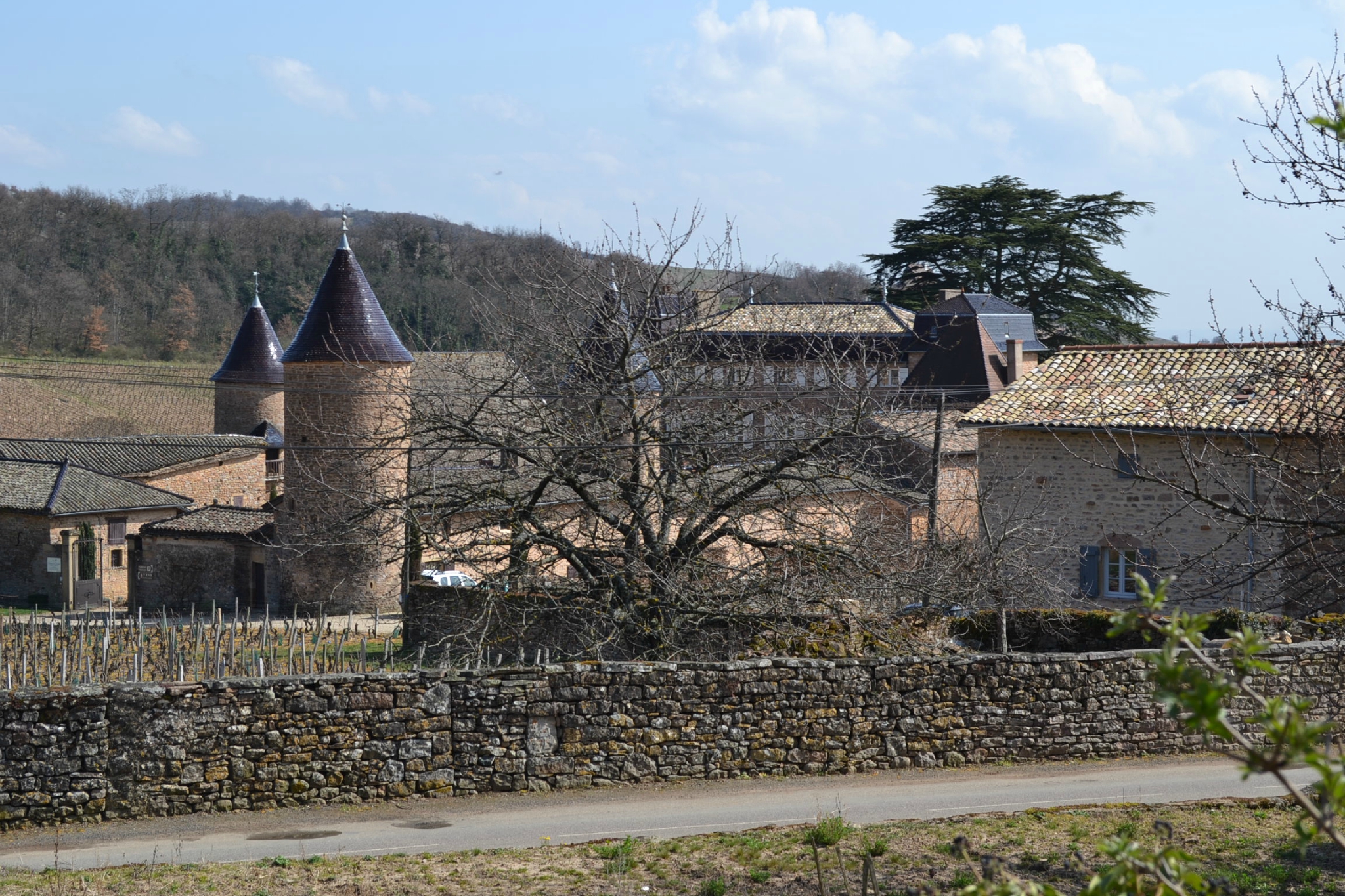 Philippe Jambon, vigneron à Chasselas (71) - La Pipette aux quatre