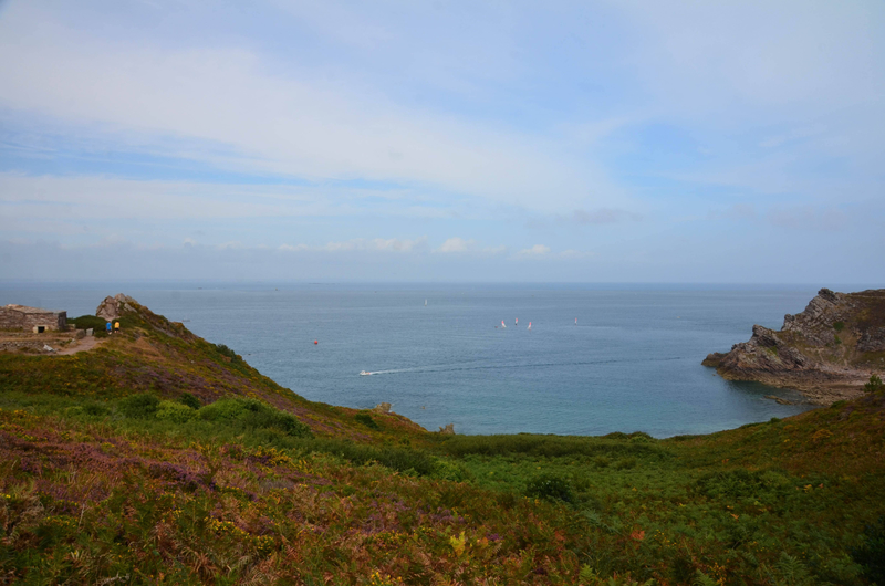 DSC_3128;