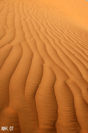 mauritanie_2180
