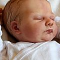 Evie ,du kit de Nikki Johnston(pas disponible)