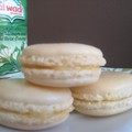 Macarons saga