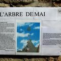 IMGP4590