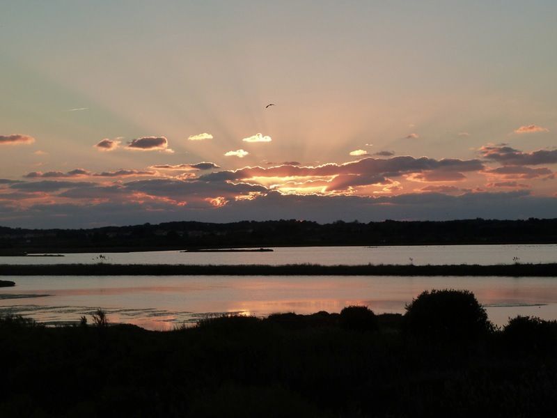 Coucher_sur_le_marais