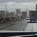 P1050444
