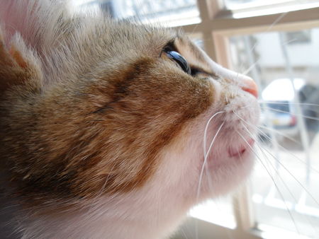20102009_773