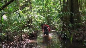 Eliott Schonfeld-Aventurier - Amazonie, dans les pas de Maufrais | Facebook