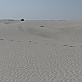P1200050