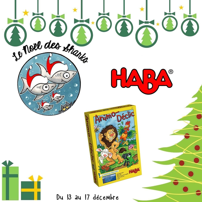 13 concours haba