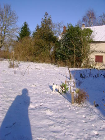 DSC05311