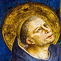 Le mois de saint dominique