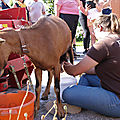 IMG_1388