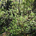 DSCN2064