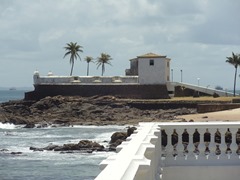 DSC00813