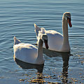 IMG_7507