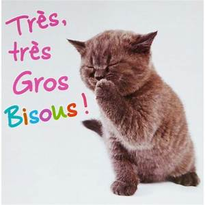 bis chat BPat20