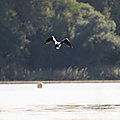 IMG_9665 - Copie