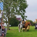 IMGP0563