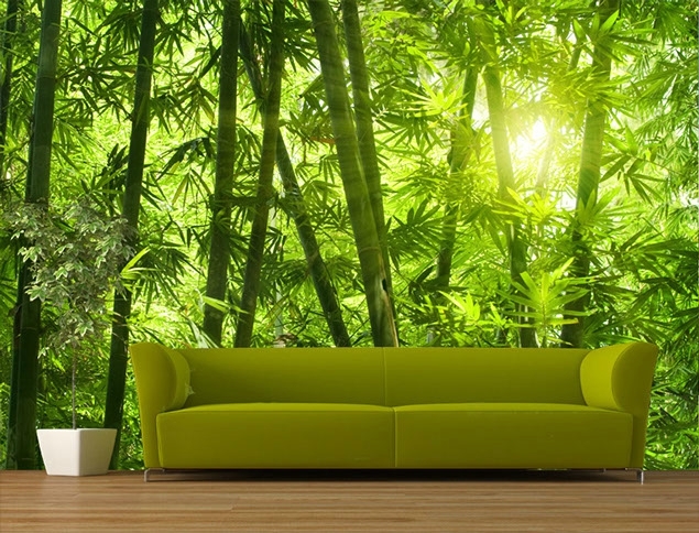 papier-peint-foret%20bambou