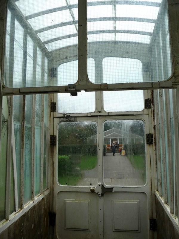 Palm House à Kew