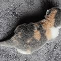 _DSC0419