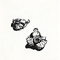 natures mortes