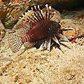 20151015-IMG_2948