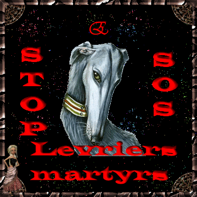 qui va les sauver
